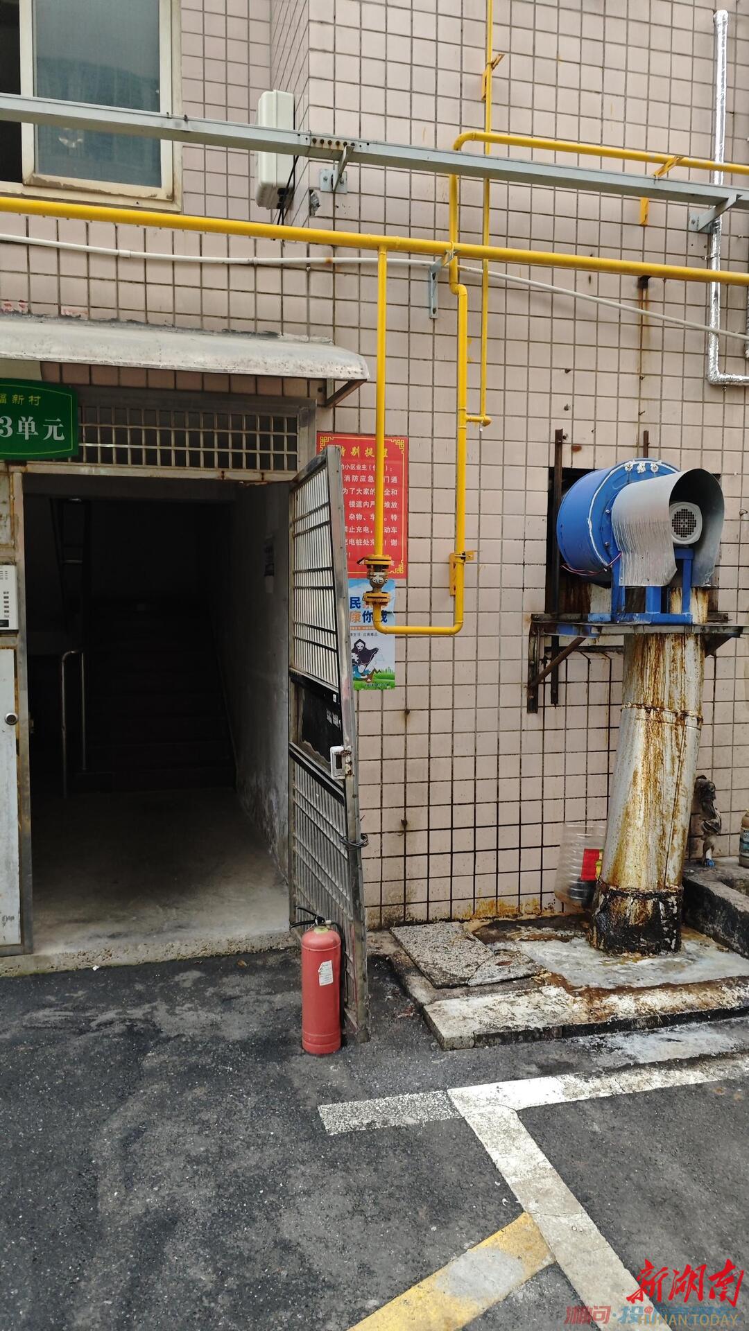 临澧：一餐馆乱排导致油渍遍地