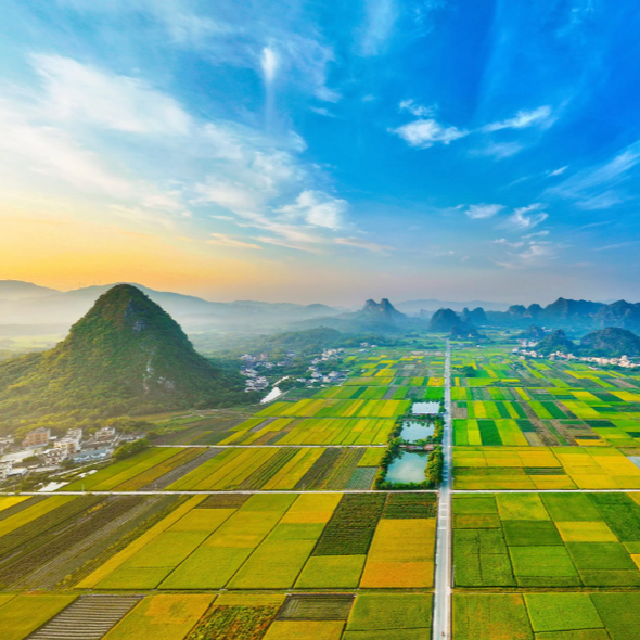 坚持全国“一盘棋”