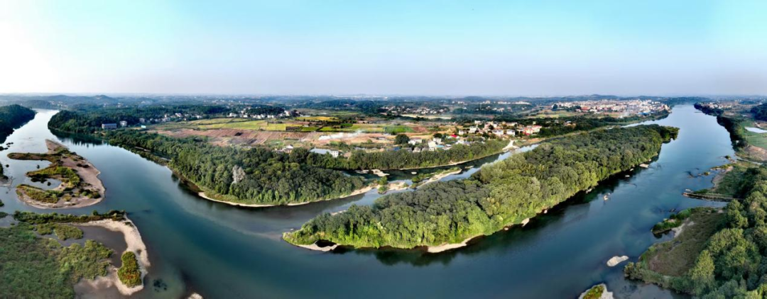 生物多样性优秀案例丨湖南衡南江口鸟洲省级自然保护区：共筑万鸟栖洲的鸟类家园