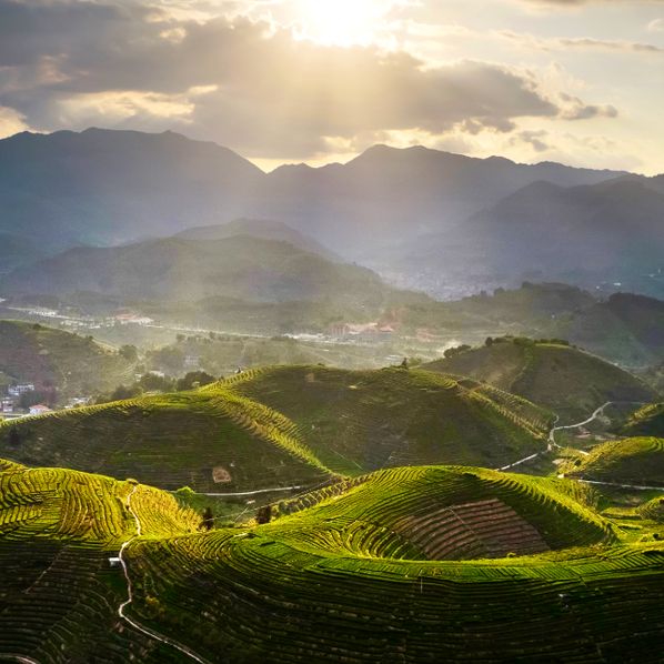 经济社会发展全面绿色转型扎实推进（奋勇争先，决战决胜“十四五”）