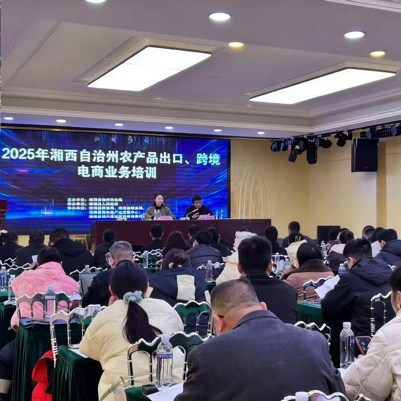 瞄准全球市场！湘西州举办专题培训助力企业“数字出海”