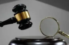 11月全国查处违反中央八项规定精神问题31754起