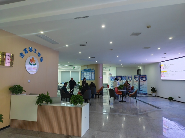 湘西州“零工市场”以精准服务绘就灵活就业暖心图景@湖南日报观察头条