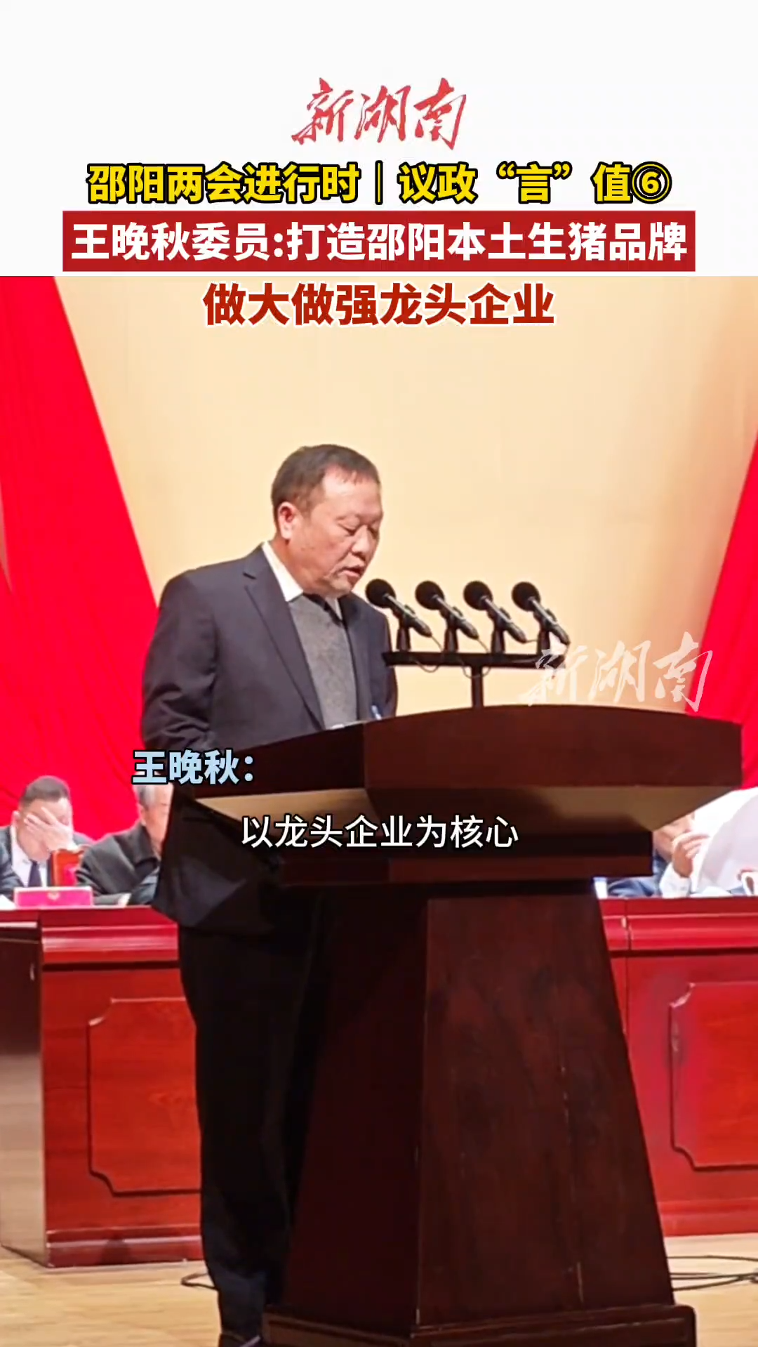 邵阳两会进行时 | 议政“言”值⑥王晚秋邵阳生猪产业高质量发展建言