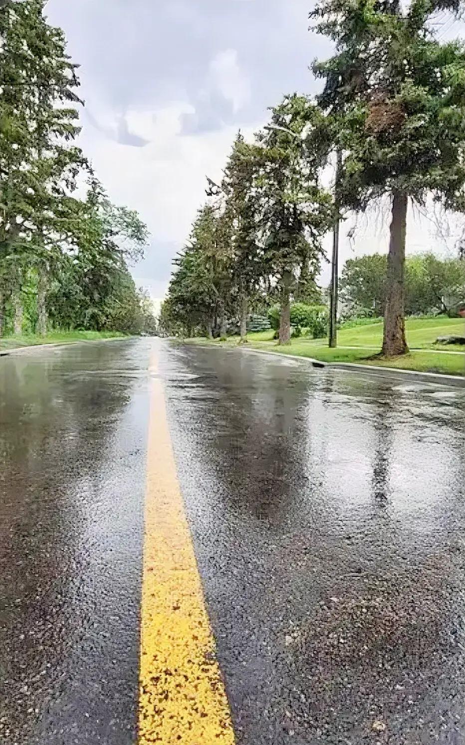 新装置破解“云中雨”监测和“落地雨”预测难题