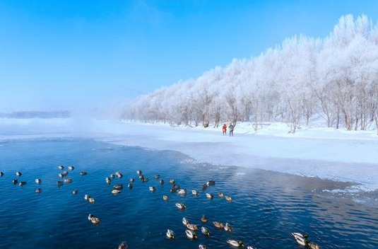 沙漠也有雾凇？全国雾凇地图出炉 四大场景解锁别样冰雪奇缘
