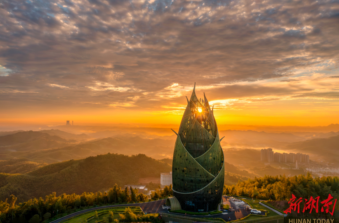潮起资江，竹乡焕彩！看桃江县“十四五”高质量发展答卷|湖南日报