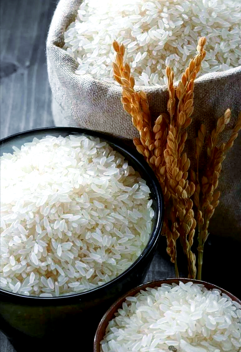 一粒稻米，如何变身“黄金救命药”？