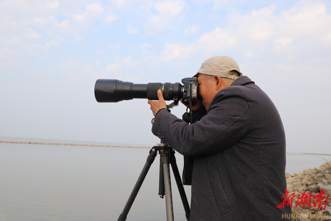 在这位来自湘西的农民摄影爱好者的镜头里，记录着大通湖环境持续向好