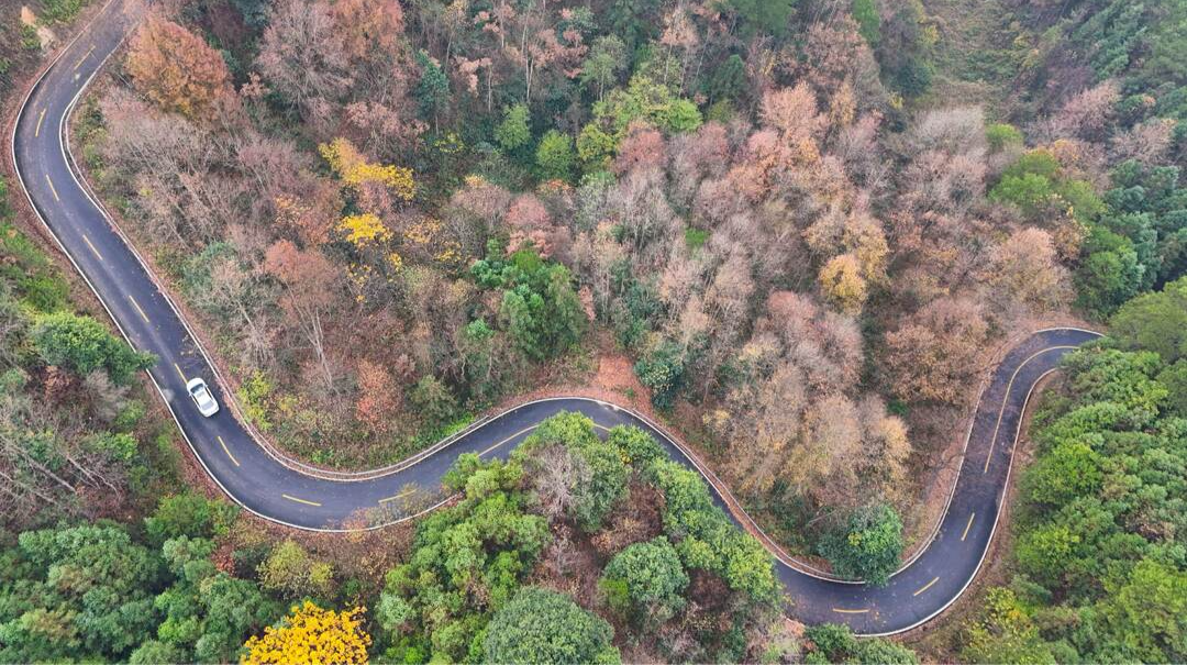 美图推荐 | 通道：彩林伴路景如画