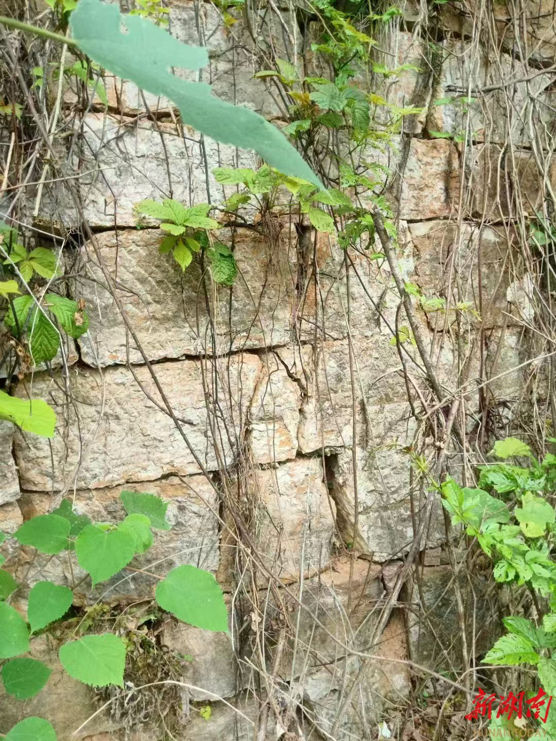 散文丨溪山有灵