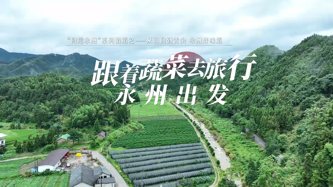 视频｜“永州问道”之“从田间到舌尖 永州好味道”①见证永州蔬菜的时空跃迁之旅