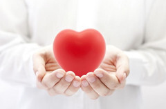 高脂饮食悄然改写肝脏细胞命运