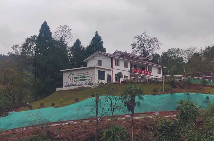 茶溪蝶变记——大唐华银驻村帮扶绘就苗乡振兴新图景