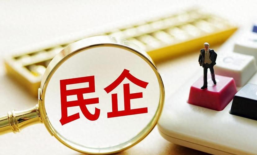 湖南日报全媒体评论员丨凝聚民企力量 共创美好未来