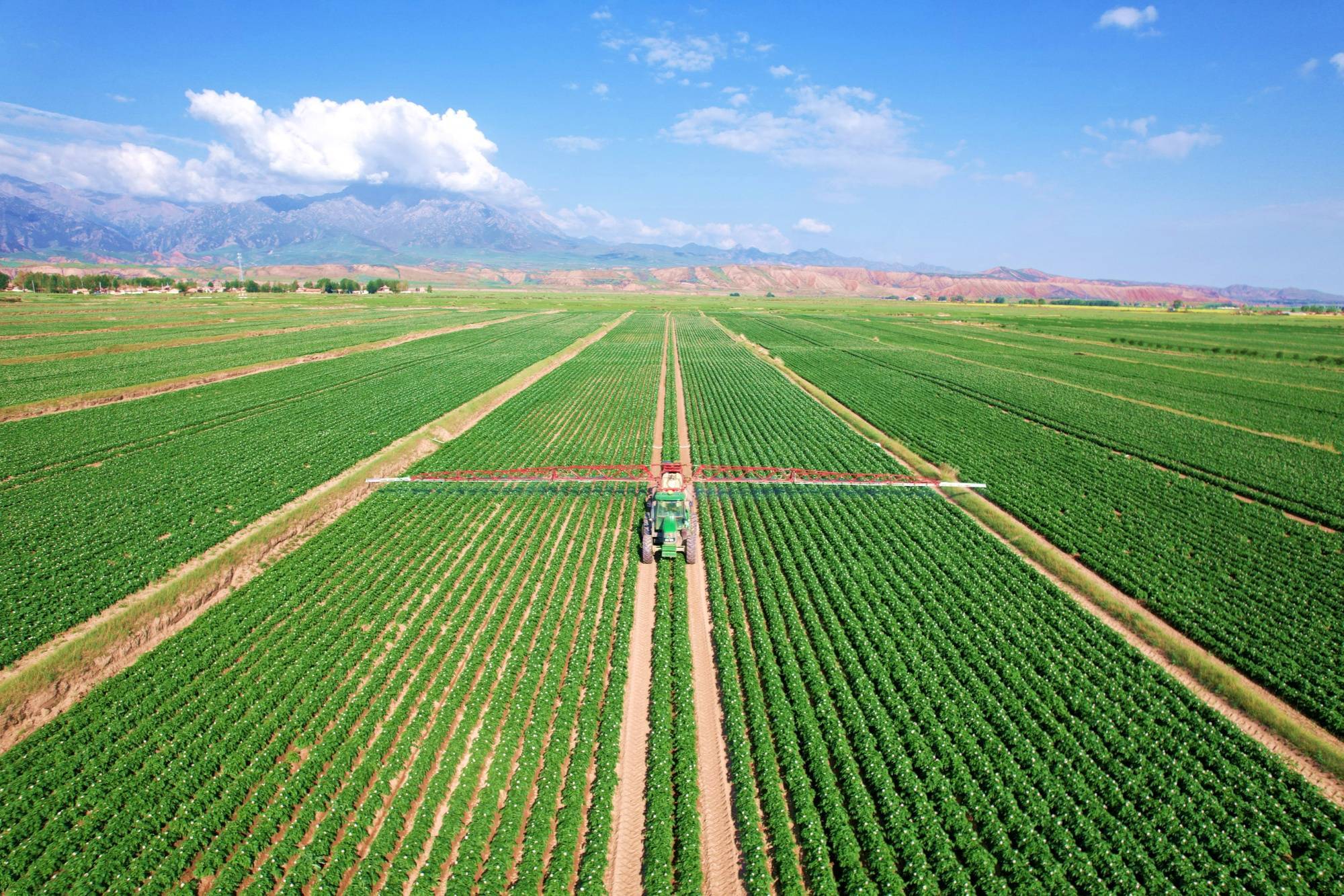 跑好种业振兴接续奋斗这一棒