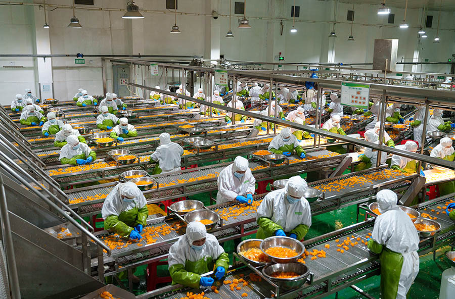 特色产业助增收