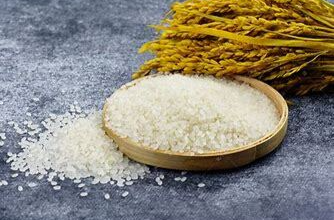 一粒稻米，如何变身“黄金救命药”？