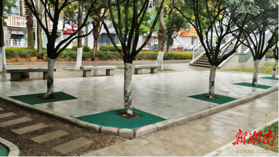 绘绿添彩惠民生 微小实事暖民心