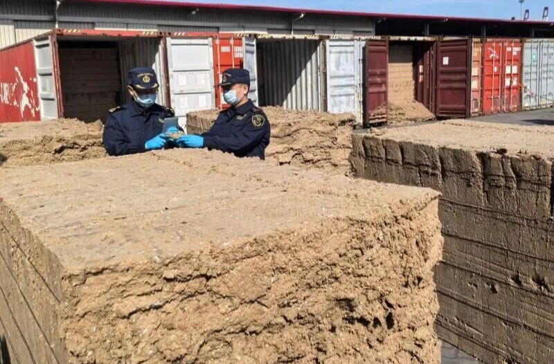 “带病”进口屡禁不止！这些“洋垃圾”为何管不住