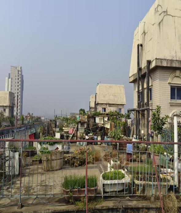 从“忧”到“享” 从“愁”到“安”——湘湖街道南湖社区以基层治理赋能民生蝶变