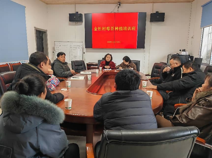 科技助力产业兴 专家田间授真经——吉首大学专家深入金杜村开展技术指导