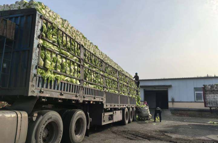 一车蔬菜的“安全通关”之路——探访湖南首个校园餐食材快检中心