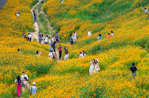 湘涌新潮⑫｜怀化：为无价山水标价 让沉睡资源变现