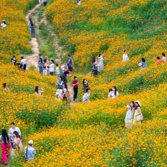 湘涌新潮⑫｜怀化：为无价山水标价 让沉睡资源变现