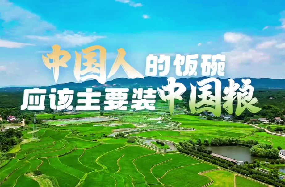 探寻新时代发展足迹｜中国人的饭碗应该主要装中国粮