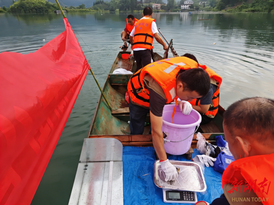 湘西这份成绩单里藏着怎样的生态密码？
