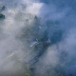 视频丨永顺沃土孕鲜醇