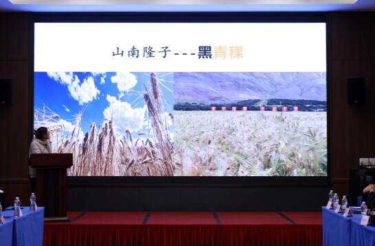 湘藏创客对话，聊了些啥？