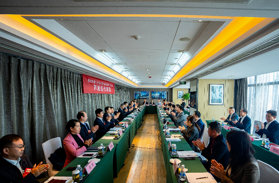 陈恢清参加芦淞区代表团审议