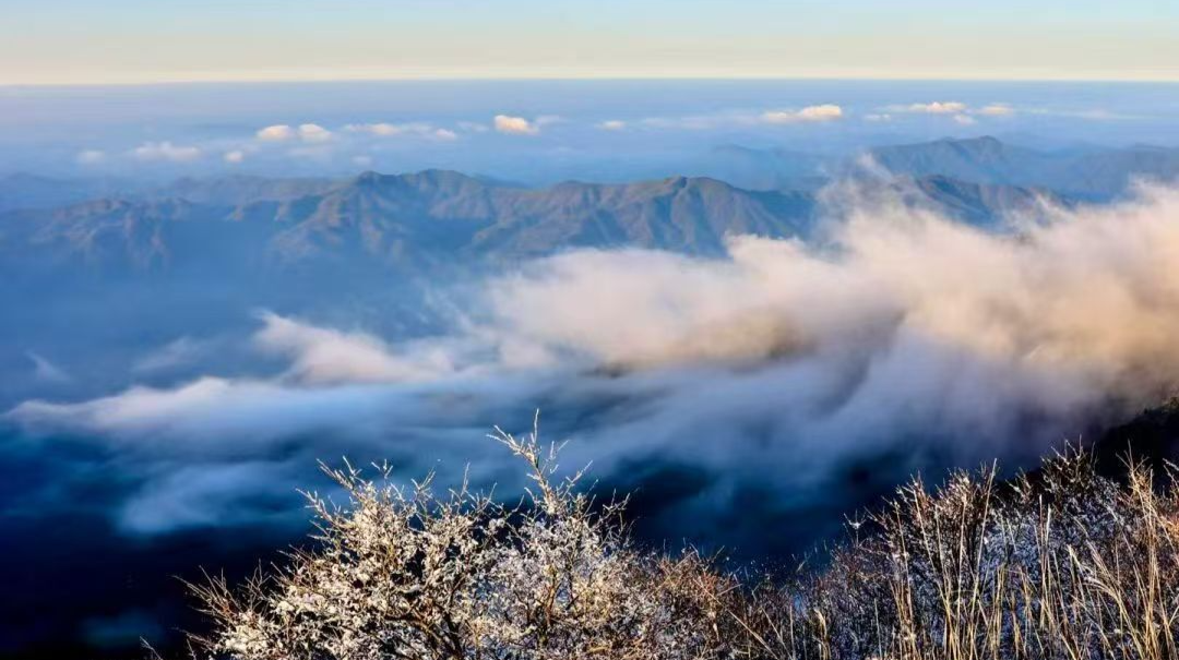 大围山下雪！闯入冰雪森林，这个冬天玩雪有去处了！
