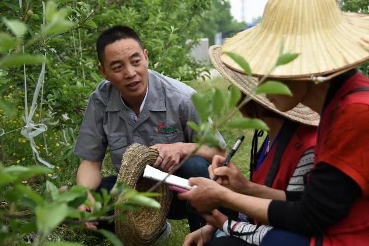 观点 | 给新型职业农民评正高，挺好！