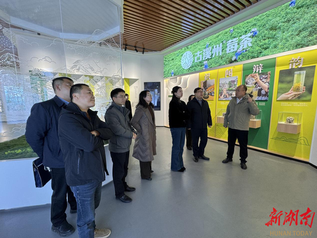 知识产权“牵手”特色产业 桑植永顺深化跨区域合作