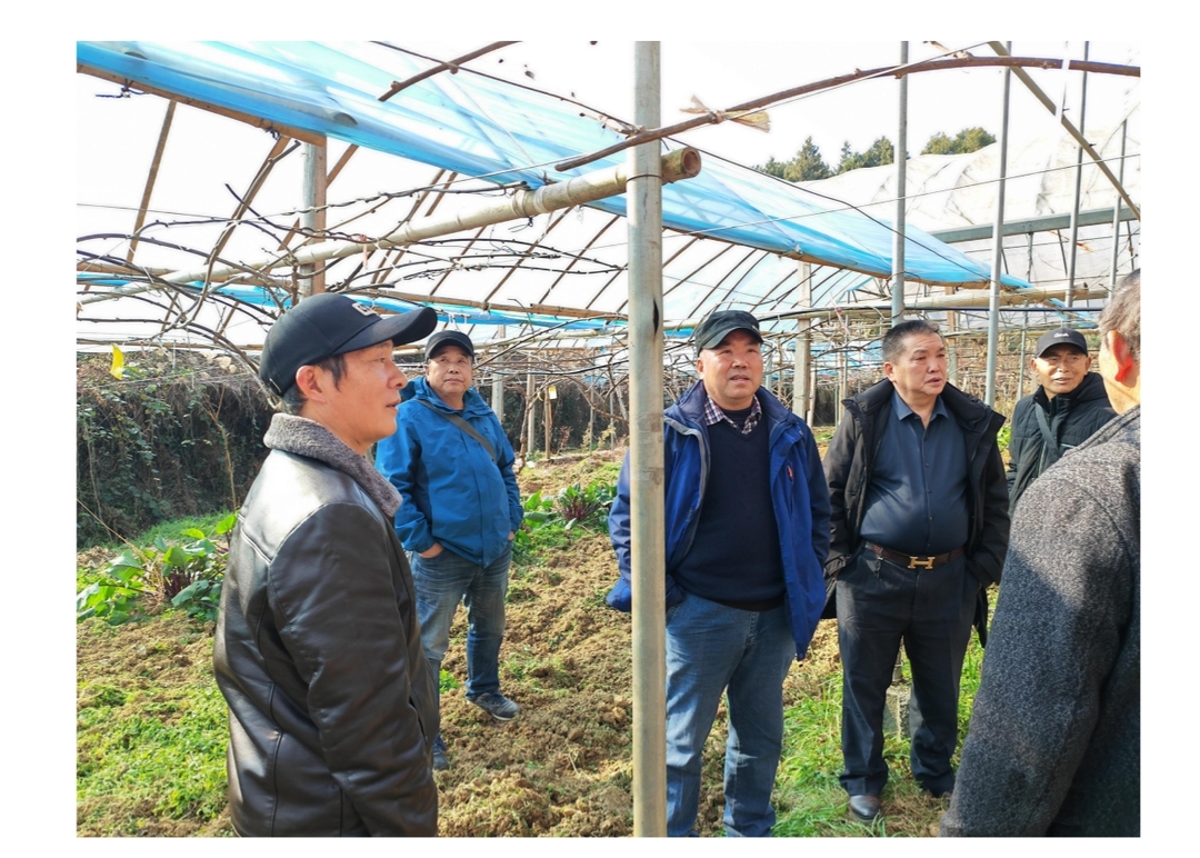 他们双脚扎根泥土，不计报酬，将毕生智慧倾注乡土~