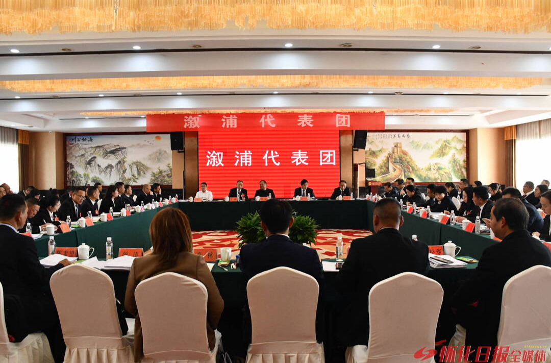 为奋力建设五省边际区域性中心城市履职尽责 各代表团分组审议政府工作报告