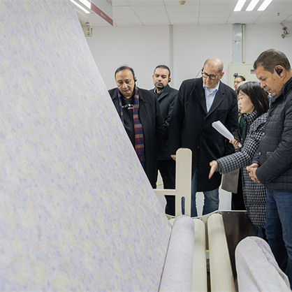 Egyptian Guests Visit Mendale Lugu Industrial Park, Changsha