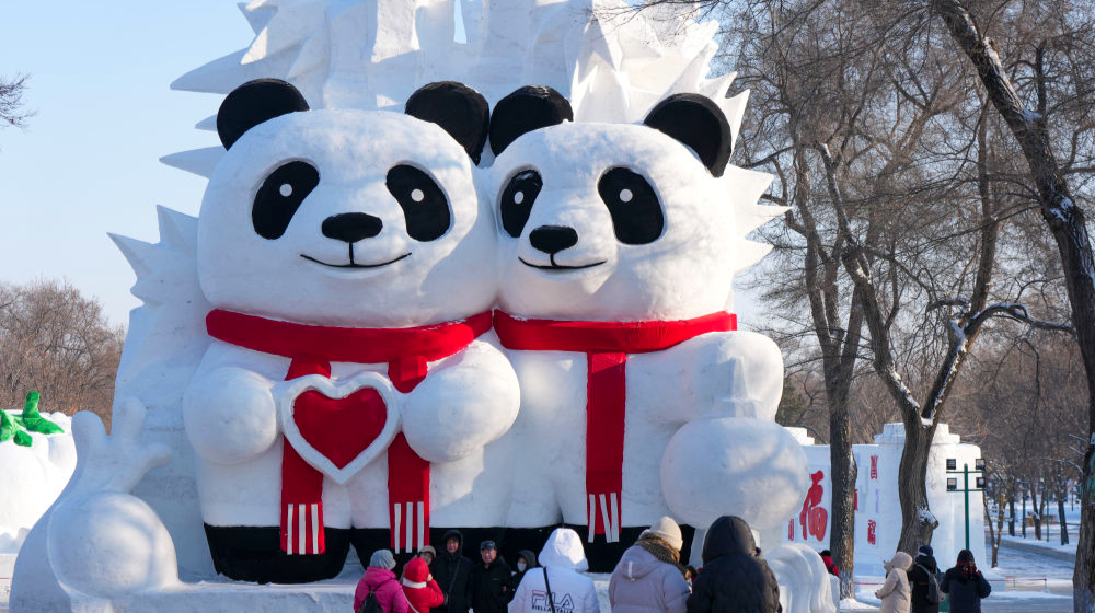 “尔滨”上新！“雪博会”开园，坐标太阳岛
