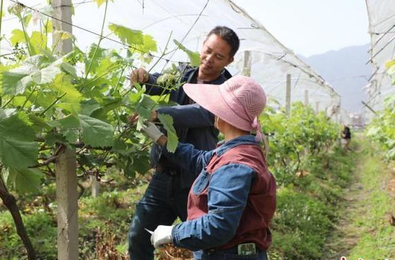 理论·新论 | 发挥好职校人才孵化器作用，壮大乡村人才队伍