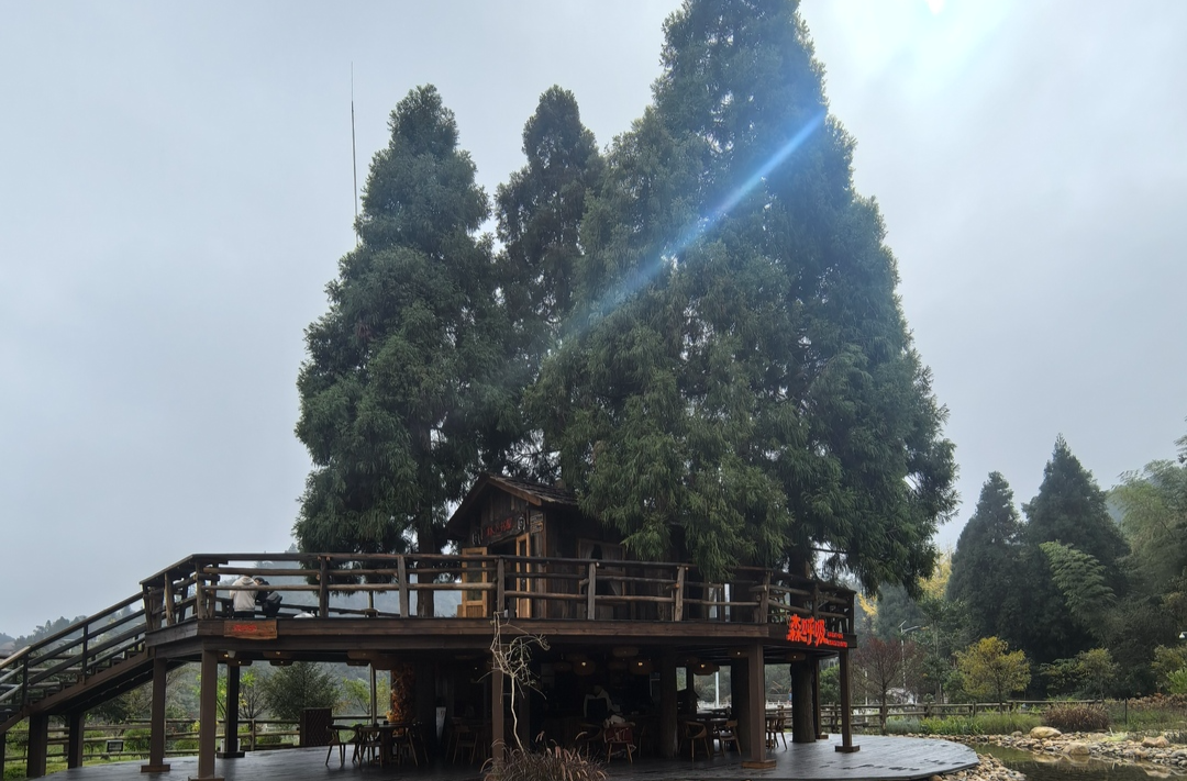 散文丨大山深处的仙境