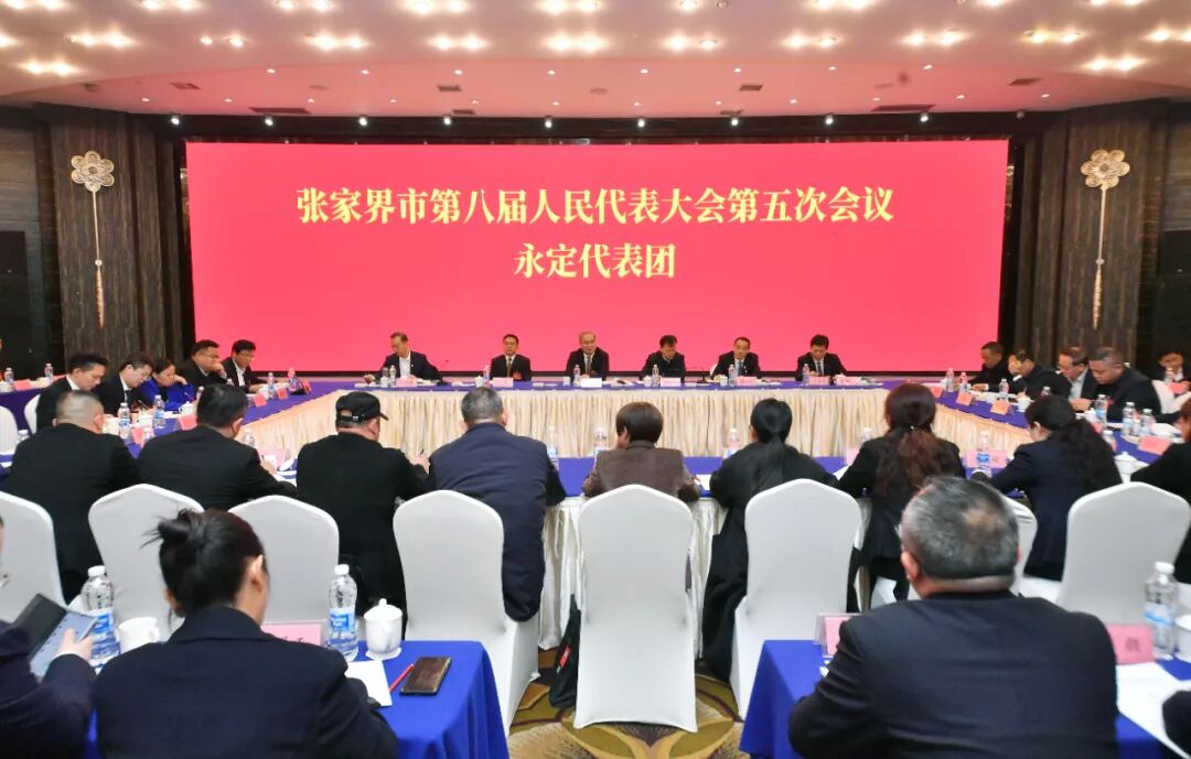 刘革安参加市八届人大五次会议永定、桑植代表团审议