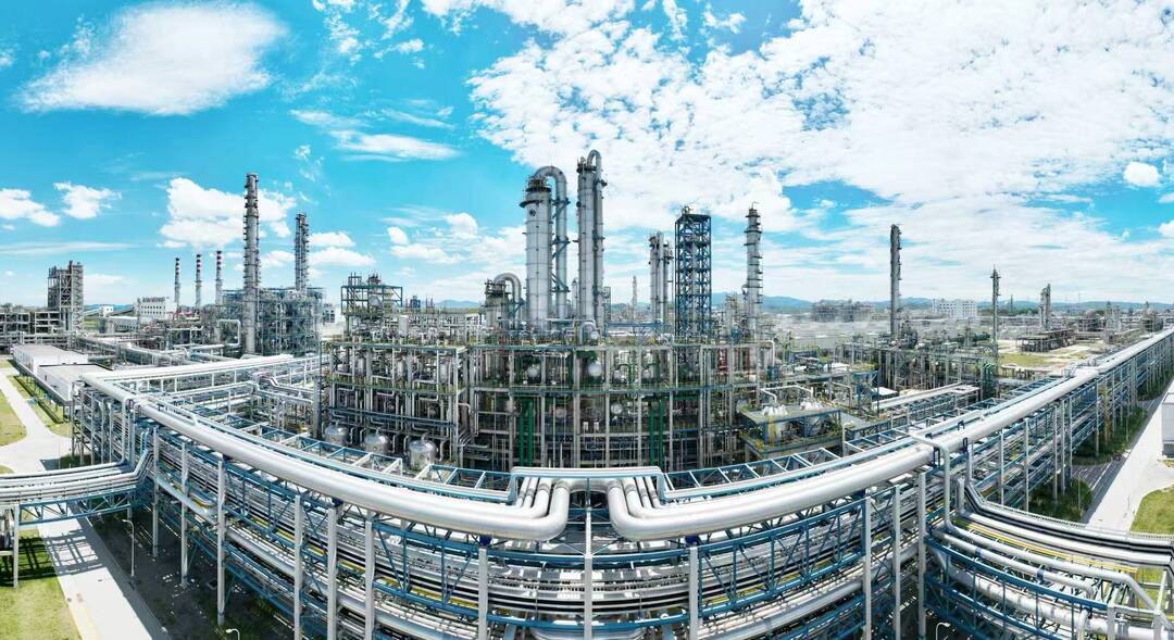 委员建言㉔｜王函宇：用好省外高校资源促进岳阳石化产业创新发展