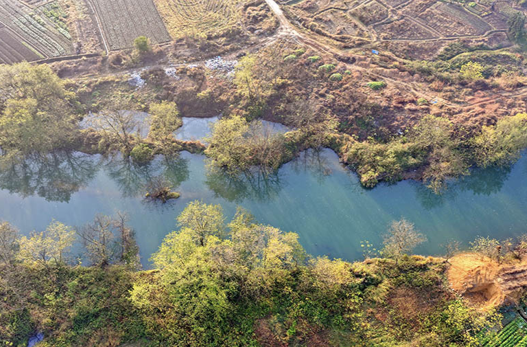 彩叶映潭水  风光如诗醉