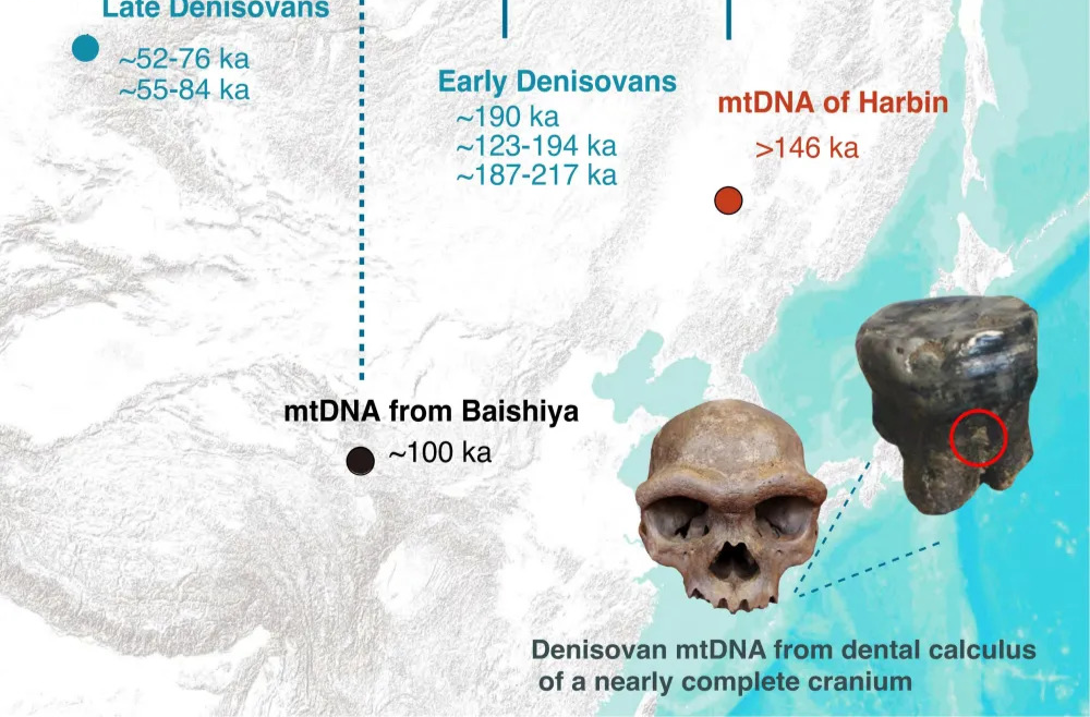 “我们从哪里来”？有了新答案！