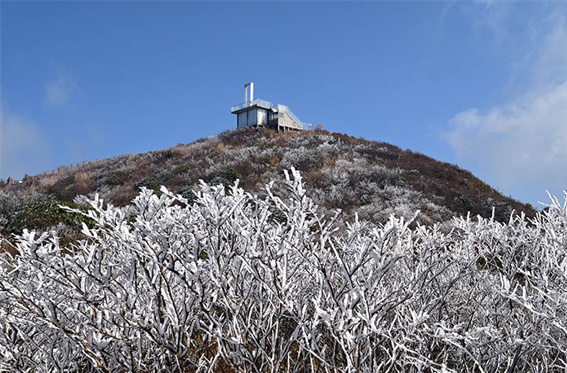 Dawei Mountain National Forest Park Transformed into a Frozen Fairyland