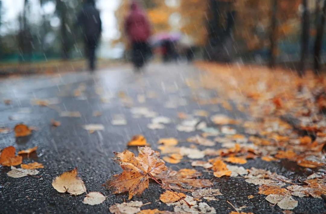 2026“冷场”开年！跨年大范围雨雪+多股冷空气登场