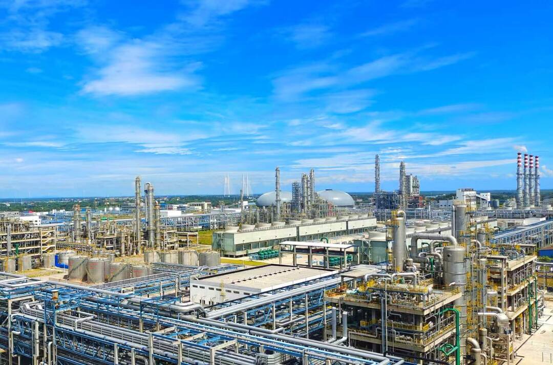 委员建言㉓｜毛程：促进化工与生物医药产业耦合发展、比翼齐飞